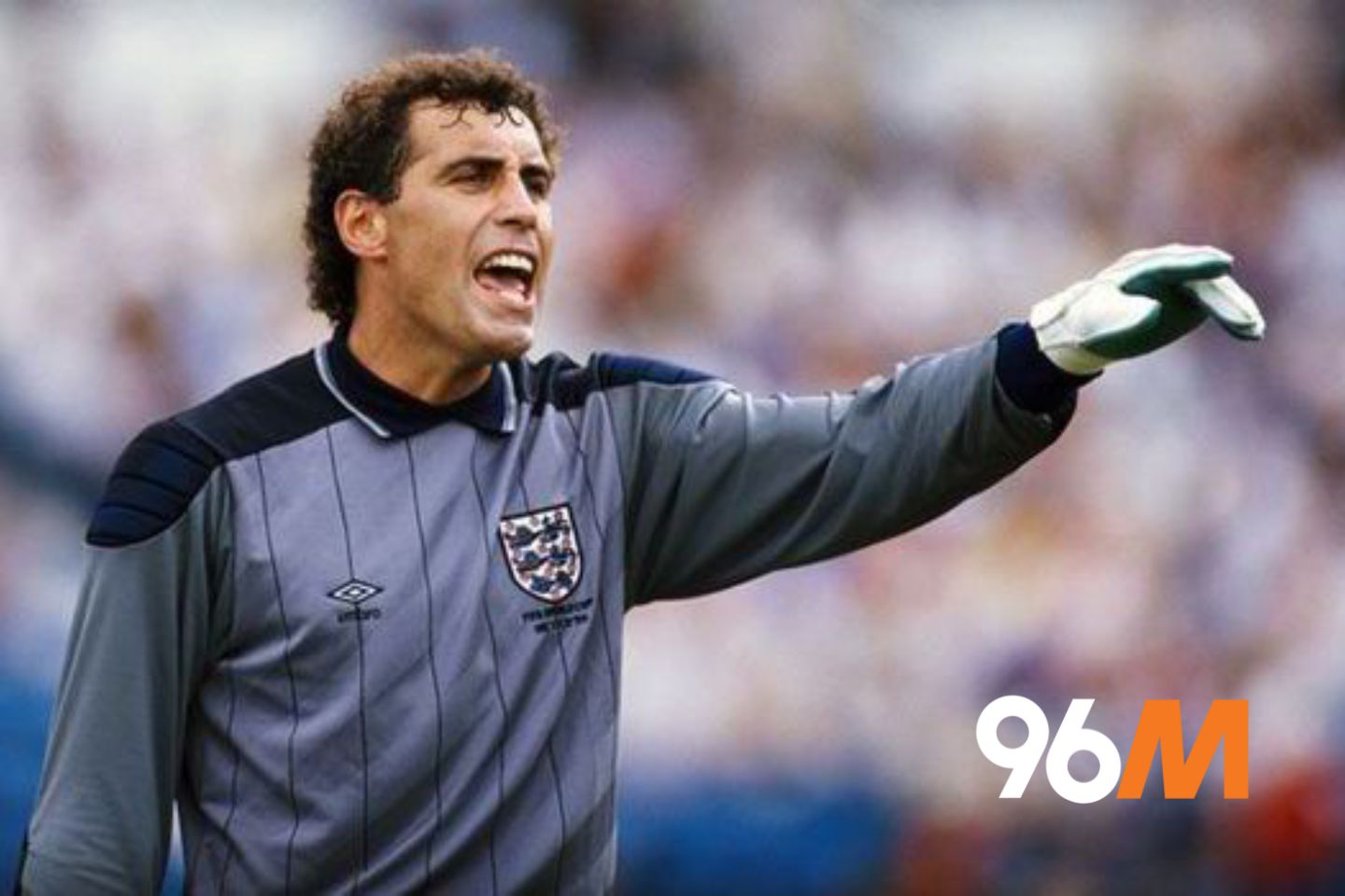 Peter Shilton-96m